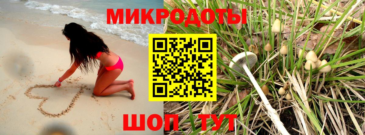 Богородицк  Галлюциногенные грибы мицелий  Вход с VPN 